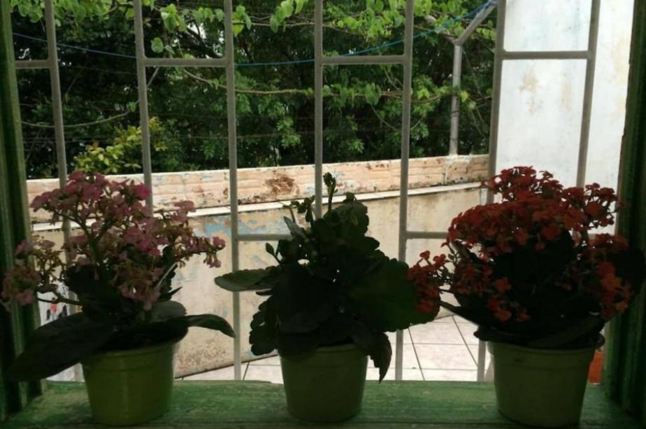 Quarto Em Casa Compartilhada Florianópolis Exteriér fotografie
